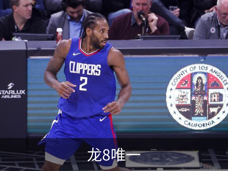 龙8唯一品牌故事